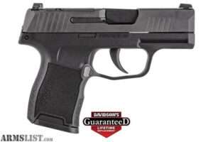 SIG Sauer P365 .380 ACP