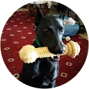 tnbtnb1000 profile picture