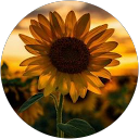 Heather Roa profile picture