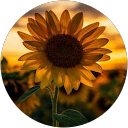 Heather Roa profile picture