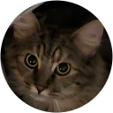 Chandra Hoosier profile picture